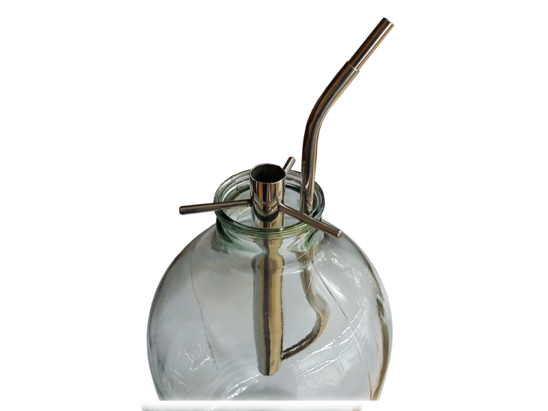 Попугай в банку