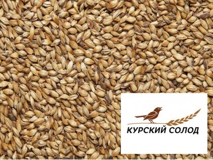 Курский солод Карамельный 100, 1 кг. 100 EBC