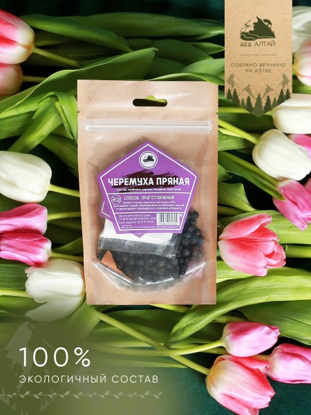 Черемуха пряная