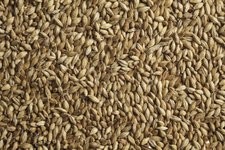 СОЛОД СУФЛЕ ПЭЙЛ ЭЛЬ PALE ALE 5-7 EBC Soufflet, 1кг 