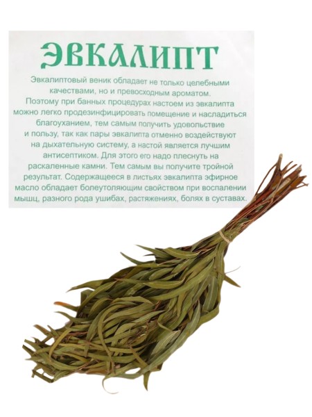 Веник эвкалиптовый 53 см.