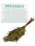 Веник эвкалиптовый 53 см.