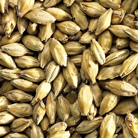 Солод Very Heavily Peated 94.5 ppm Simpsons Malt