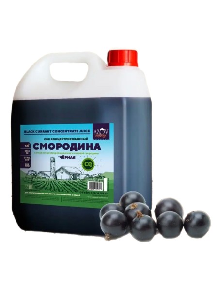 Концентрированный сок "Черная смородина" 5кг канистра