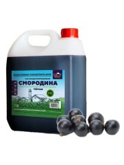 Концентрированный сок "Черная смородина" 5кг канистра