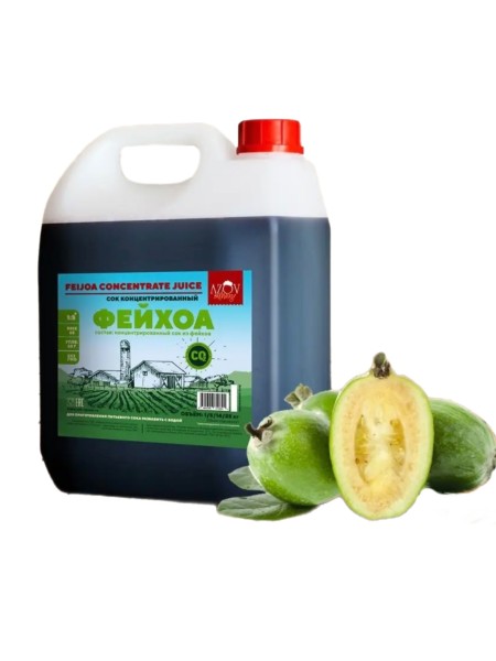 Концентрированный сок "ФЕЙХОА" 5кг канистра 1