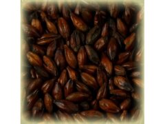 Солод Шато Шоколад, Chocolat, 1кг. | Castle Malting ® 900 EBC