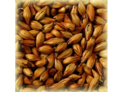 Солод Шато Спешл Би, Special B ®, 1 кг. Castle Malting ® 300 EBC