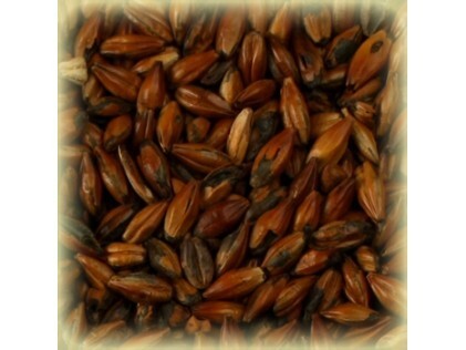 Солод Шато Кофе, Cafe, 1 кг. Castle Malting ® 500 EBC