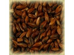 Солод Шато Кофе, Cafe, 1 кг. Castle Malting ® 500 EBC