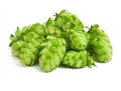 Хмель в шишках Московский ранний (Чувашхмельпром, Россия), 50 г