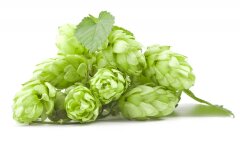 Хмель в шишках Фаворит (Чувашхмельпром, Россия), 50 г