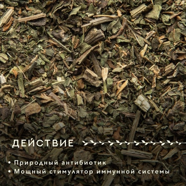 Дед Алтай мононабор Эхинацея 100гр