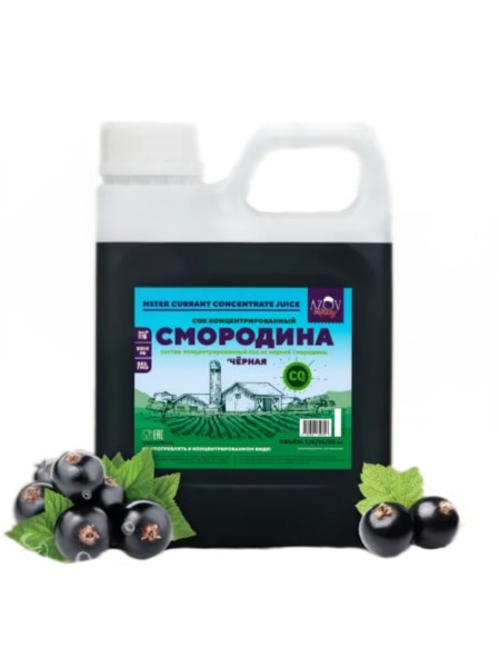Концентрированный сок "Черная смородина" 1кг канистра
