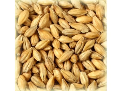 Солод Шато Пилсен (Chateau Pilsen), 1 кг. 3,0 EBC