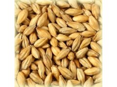 Солод Шато Пилсен (Chateau Pilsen), 1 кг. 3,0 EBC