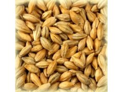 Солод Шато Пейл Эль (Chateau Pale Ale), 1 кг. 8 EBC