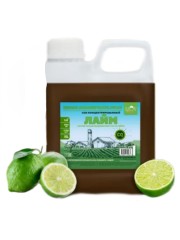 Концентрированный сок "Лайм" 1кг канистра