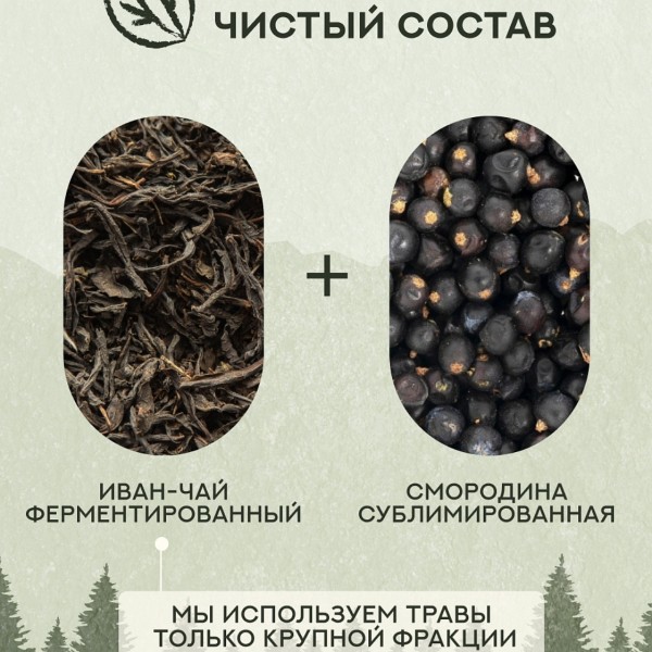 Иван чай со смородиной