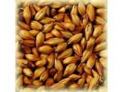 Солод Шато Кара Руби (Chateau Cara Ruby), 1 кг.