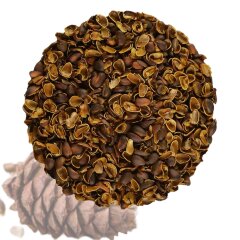 Скорлупа кедрового ореха.