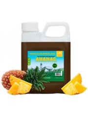 Концентрированный сок "Ананас" 1кг канистра. 