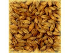 Солод Шато Аром (Chateau Arome), 1 кг.