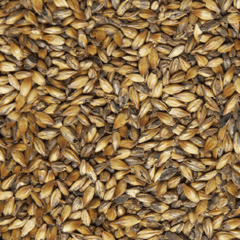 Солод Шато Кофе лайт (Cafe Light Malt) ~ 250 EBC Castle Malting