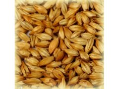 Солод Шато Кара Блонд (Chateau Cara Blond)