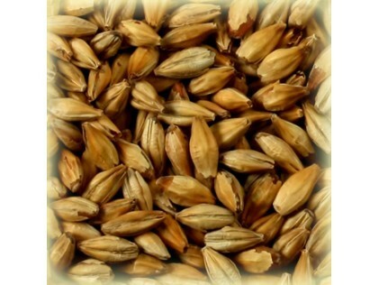 Солод Шато Мелано (Chateau Melano) 1кг