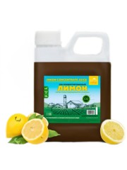 Концентрированный сок "Лимон" 1кг канистра.