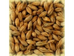 Солод Шато Бисквит (Chateau Biscuit) 1кг