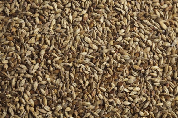 Солод шато эбби (CHATEAU ABBEY) 45 EBC Castle Malting 1кг