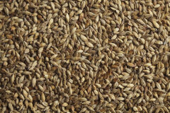 Солод шато эбби (CHATEAU ABBEY) 45 EBC Castle Malting 1кг