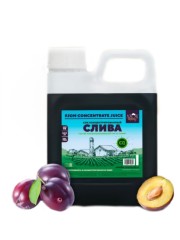 Концентрированный сок "Слива" 1кг канистра.