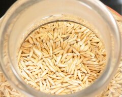 Овсяный солод 