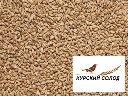 Курский солод Пшеничный 1 кг. 5 - 6 EBC - 1кг