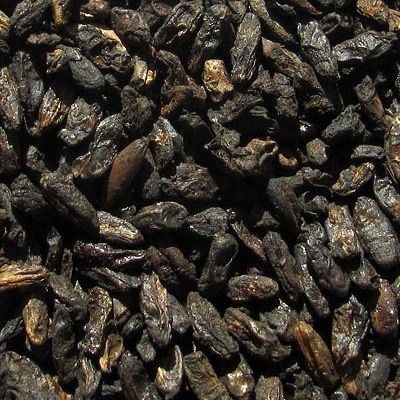 Солод ржаной ферментированный (Россия)