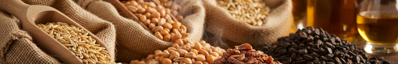 Солод Староминский