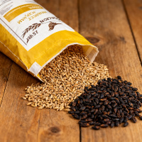 Курский солод